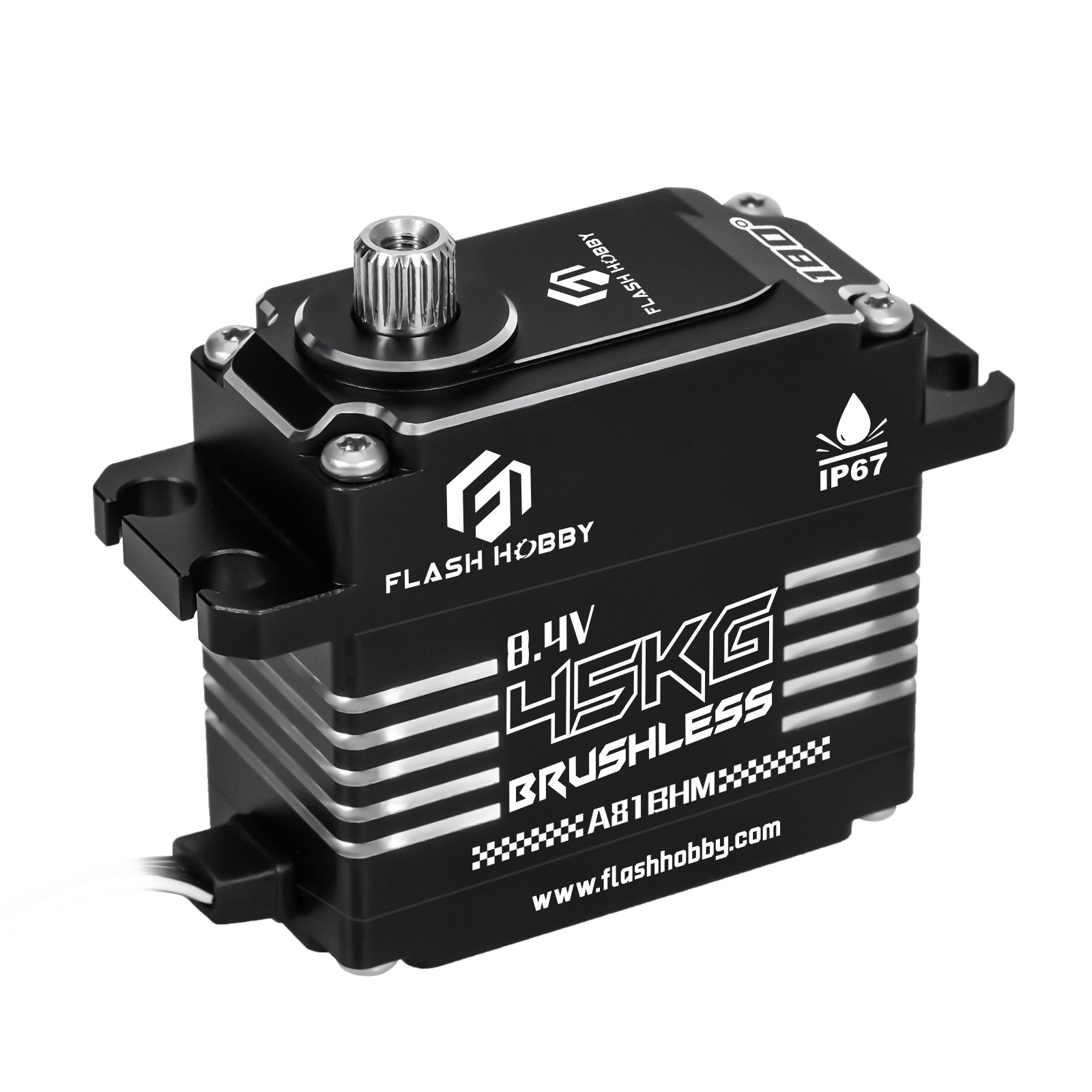 A81BHM 45KG BLS Servo